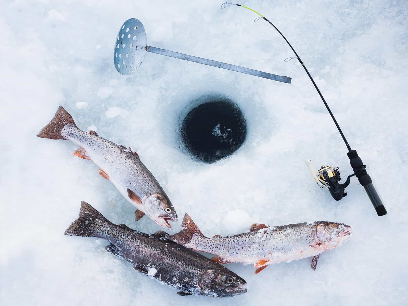 Ice fishing and Log sauna