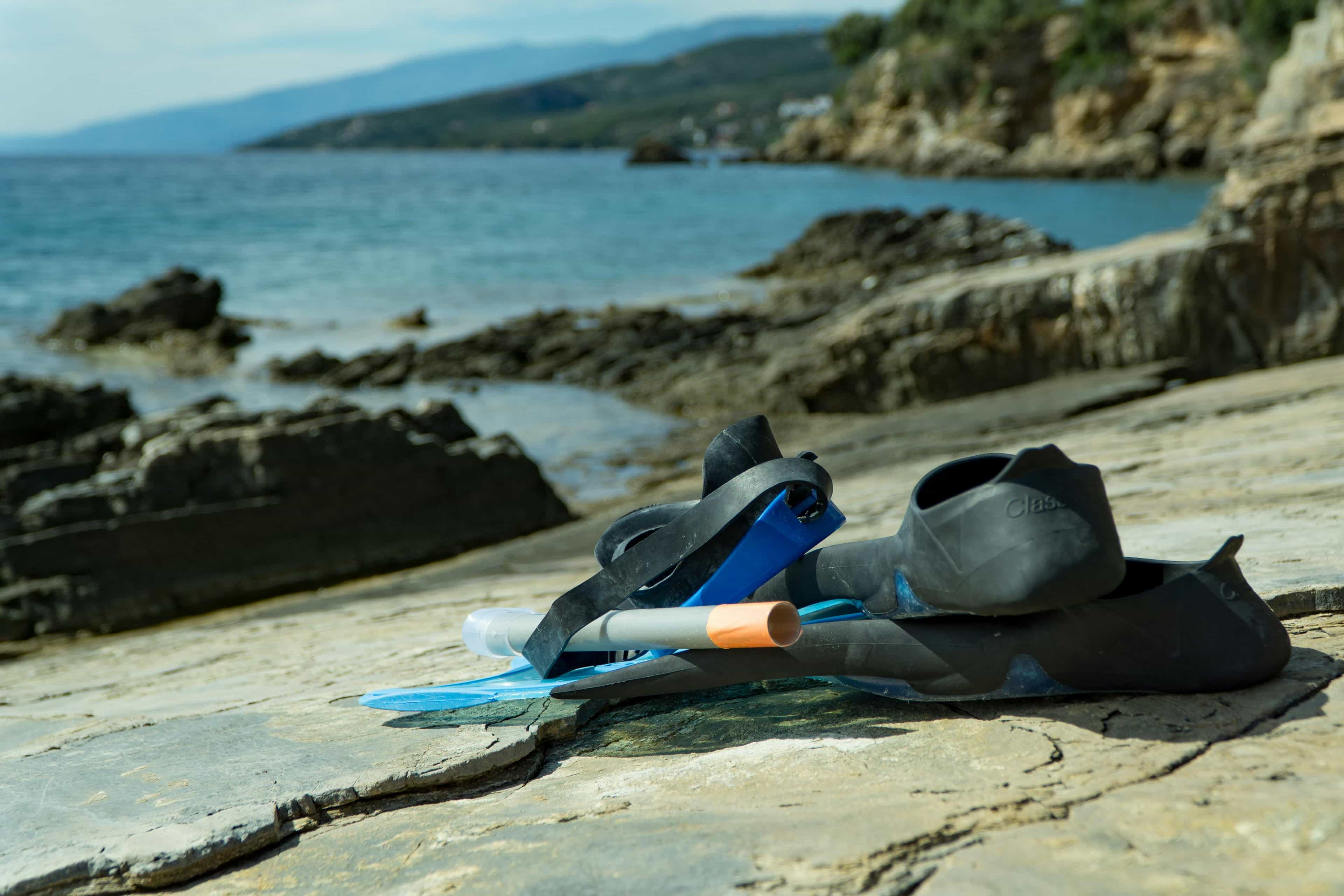 Oslo Fjord Snorkeling Daytrip