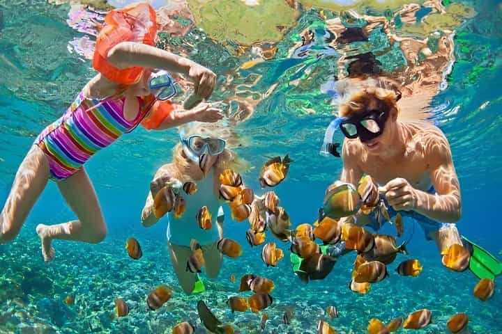 Ultimate Snorkeling by Boat & wildlife sanctuary 
