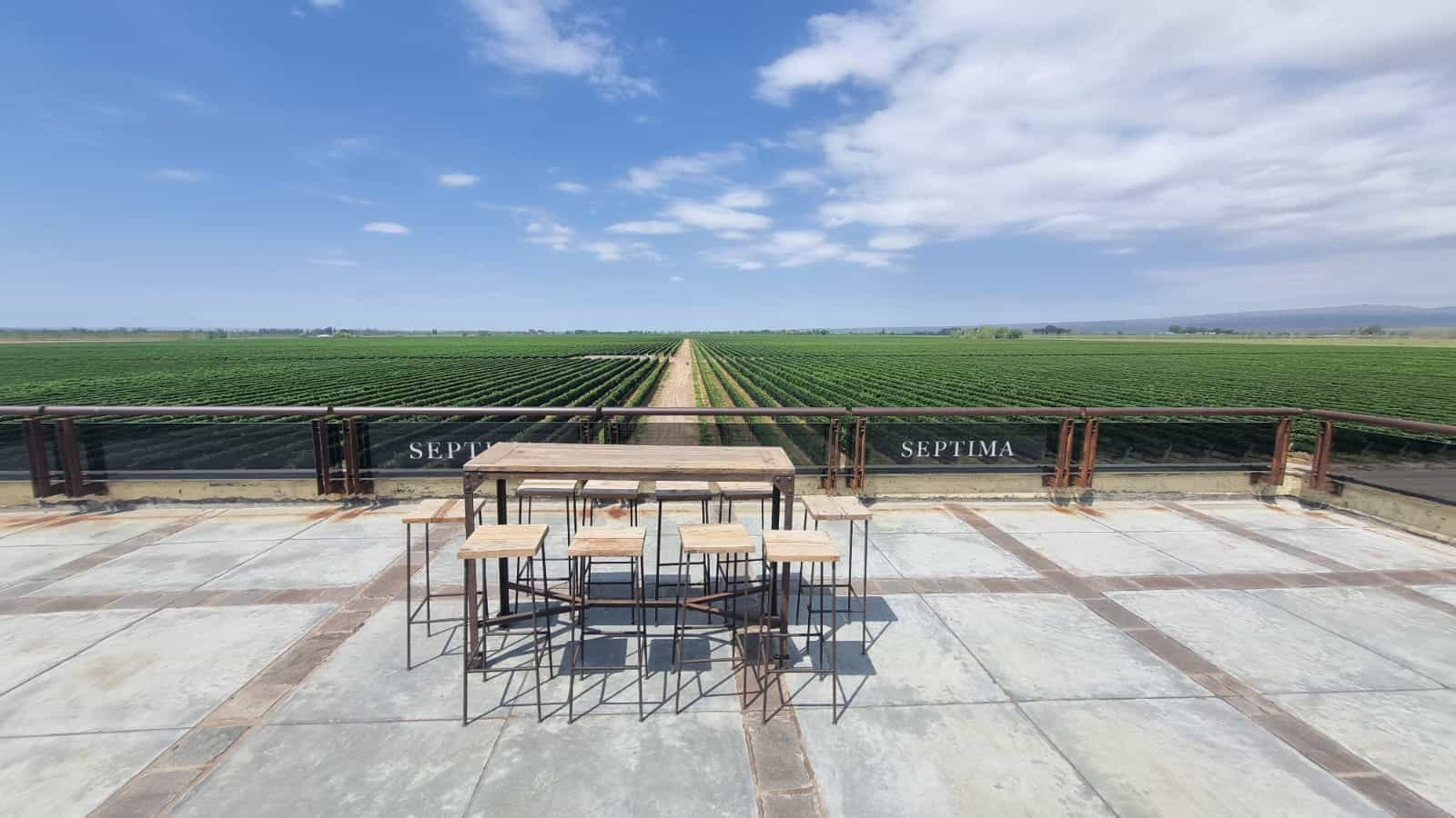 EXPERIENCIA DE BODEGAS