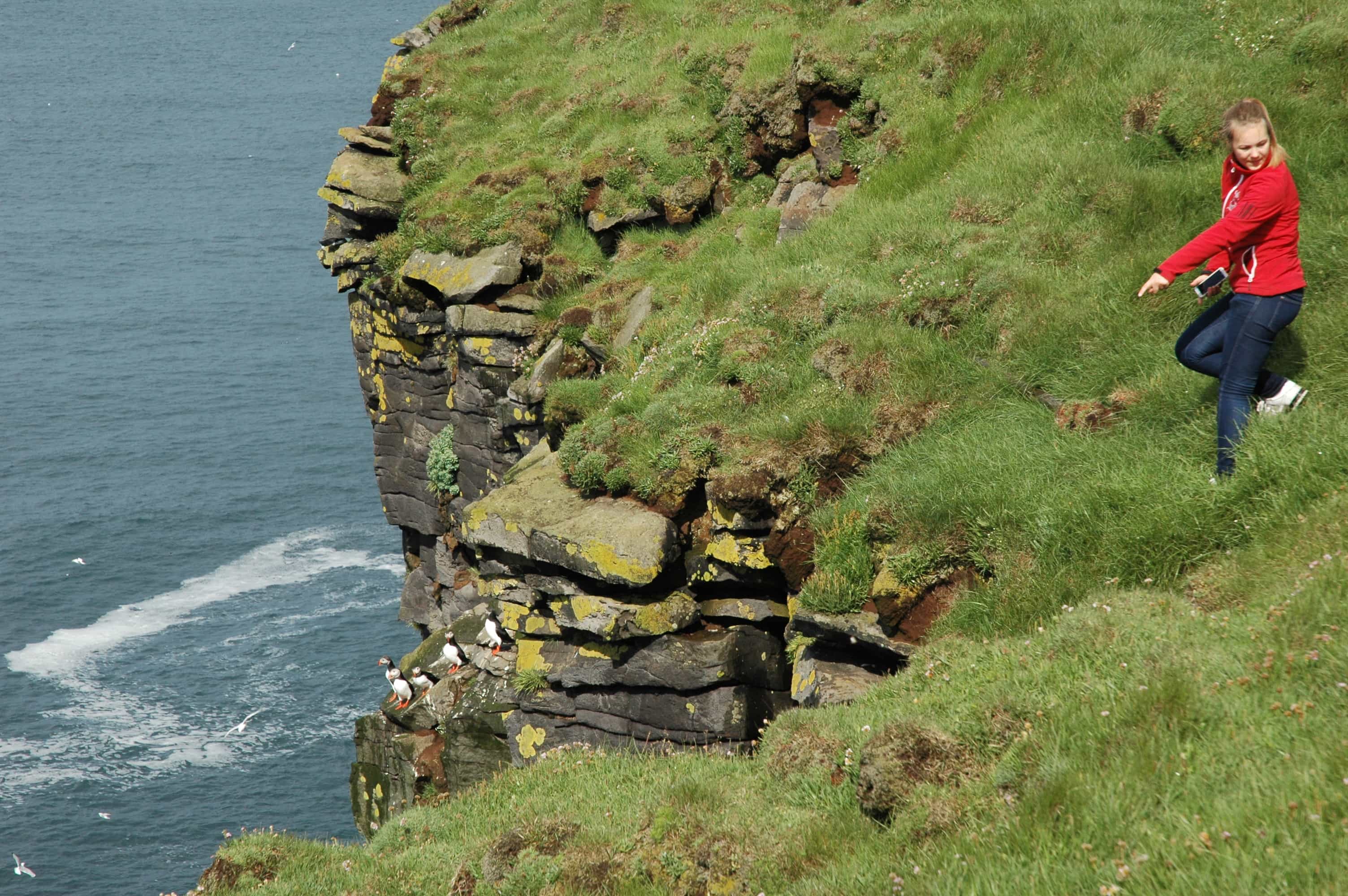 Langanes birdcliffs and ruins