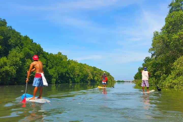 Stand Up Paddle Boarding with Pickup & Drop Off