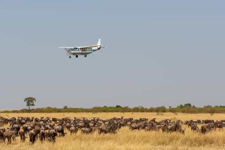 5 Day Group Joining- Mara, Nakuru & Naivasha
