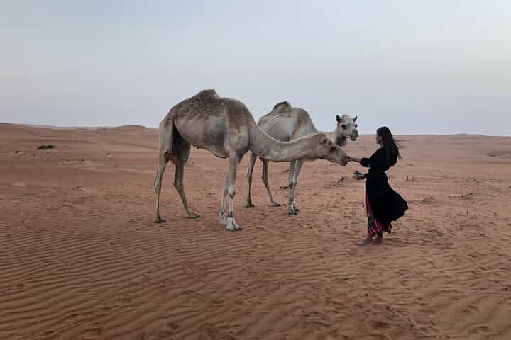 Tour Jawahir 2 Days-1 Night In Wahiba Sands, Oman Tours Package