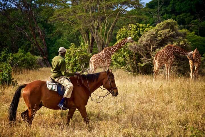Private Day Trip to Lake Duluti – Paddle and Ride in Nature