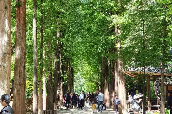 Muslim Tour (Nami Island + Petite France)