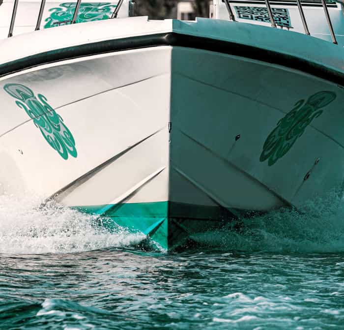 Exclusive boating experience (Snorkeling and Coastal Experience)