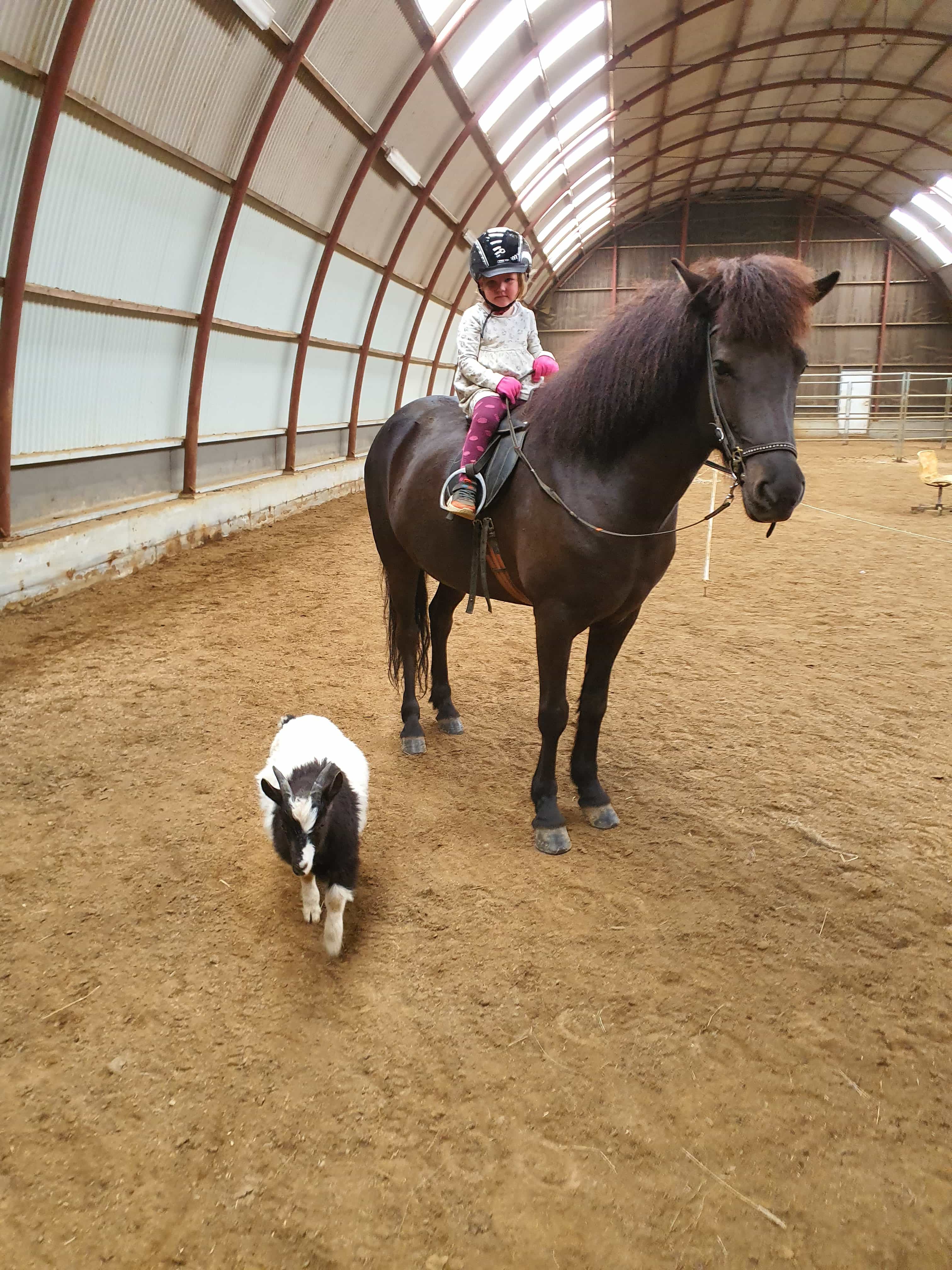 Ride in Riding Hall