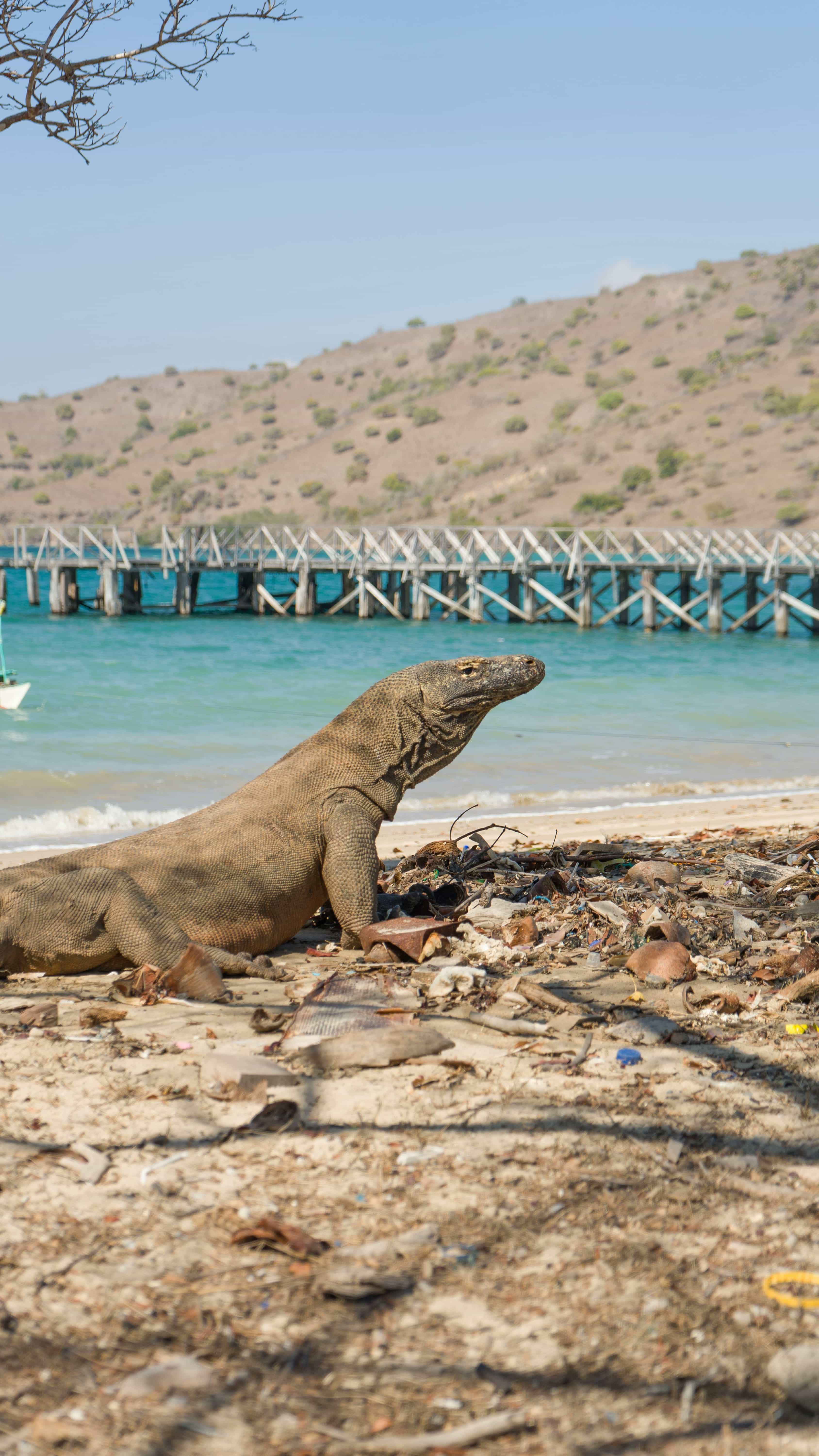 9 Days Flores & Komodo Adventure – Back to Nature Experience