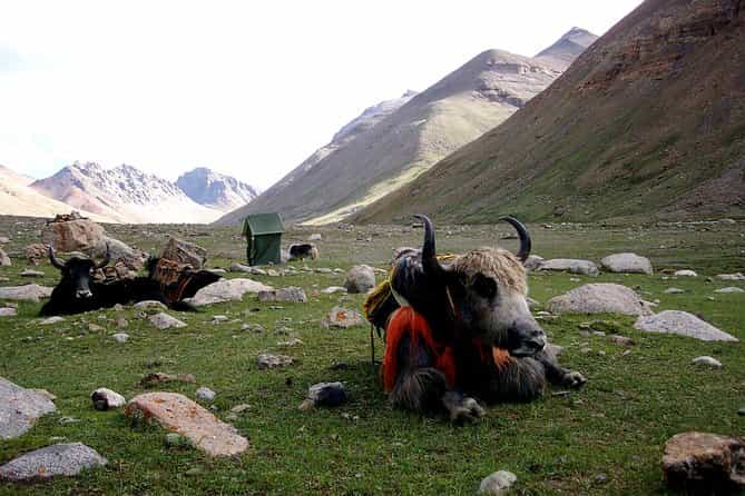 11 Days – Tibet Mount Kailash Pilgrimage Tour