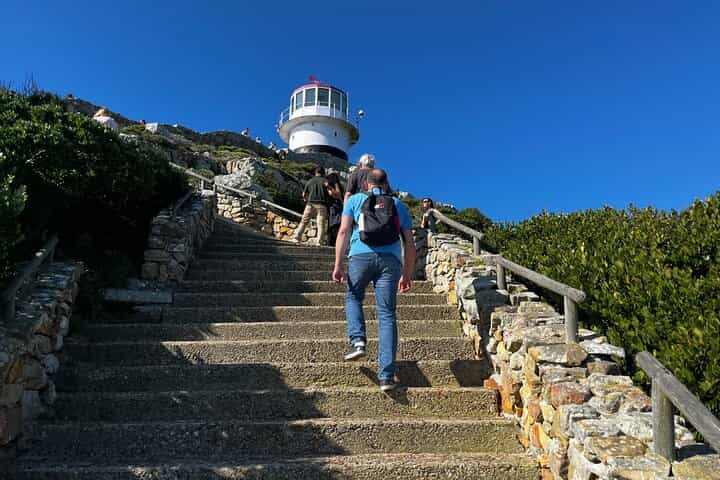 Private Full Day Tour in Cape of Good Hope and Penguin Watching