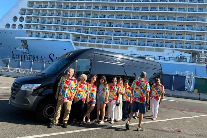 One - Way Transfer from Pier 66 to SeaTac international Airport 