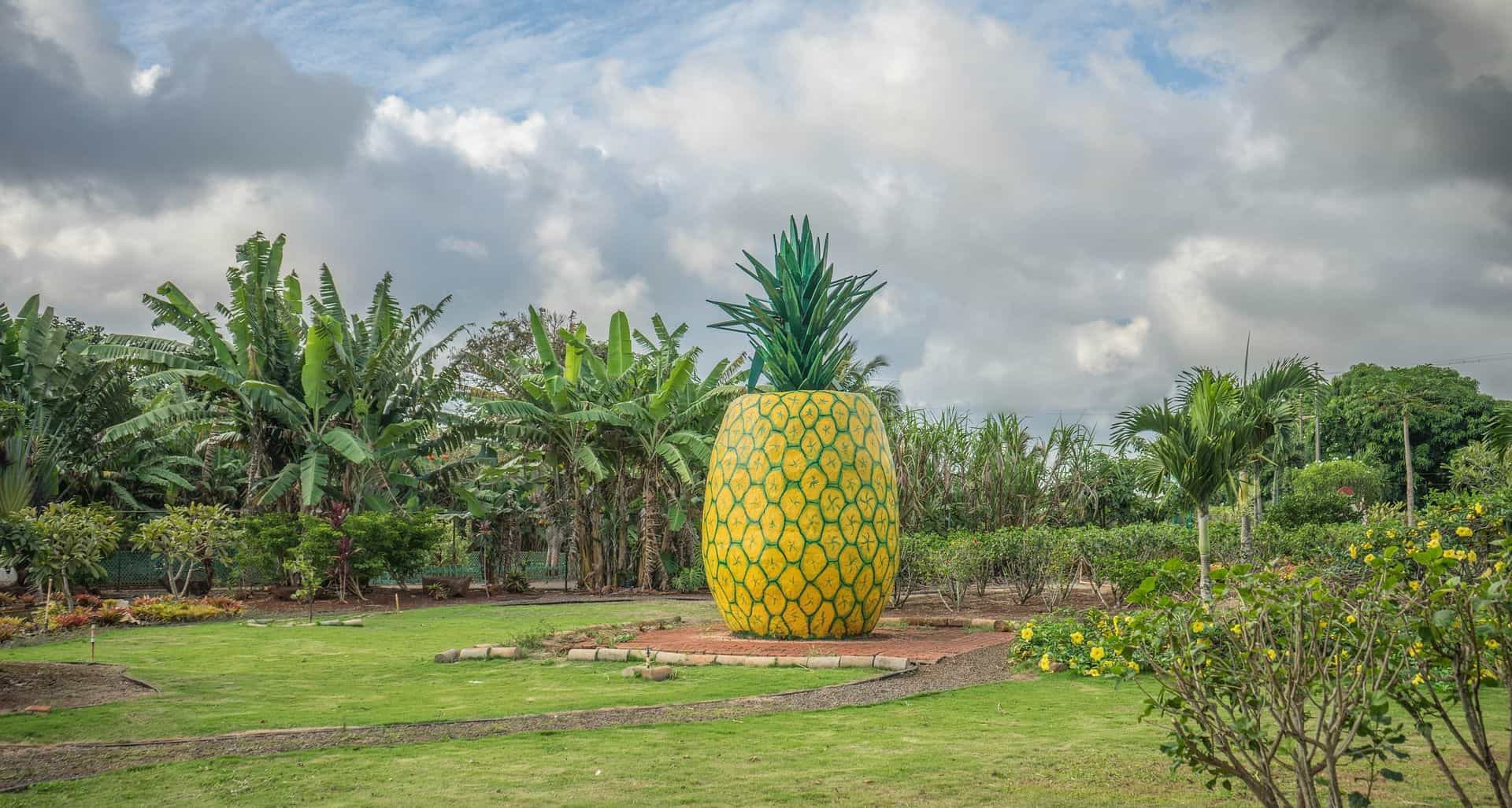 Discovering Oahu on Your Own: Self-Driving Audio Car Tour