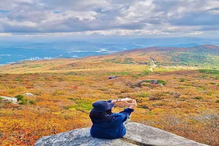 Busan Private Hiking Tour : Panoramic Views Awaits