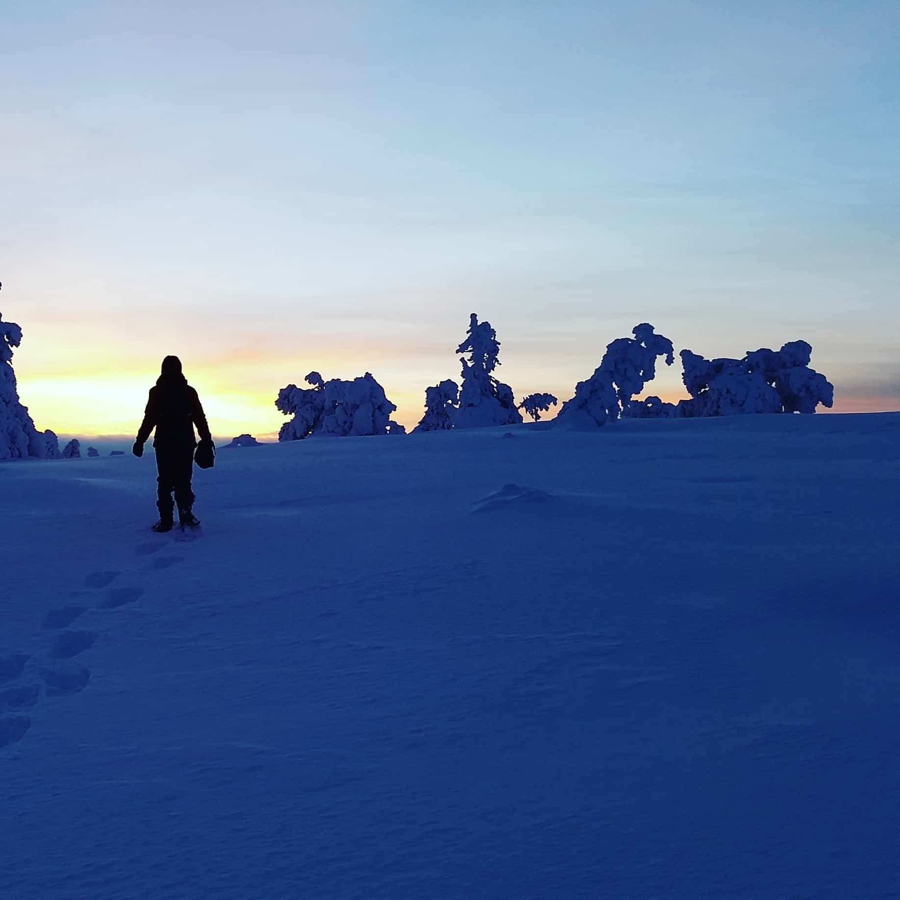 Snowshoeing adventure in Riisitunturi National Park (private tour)