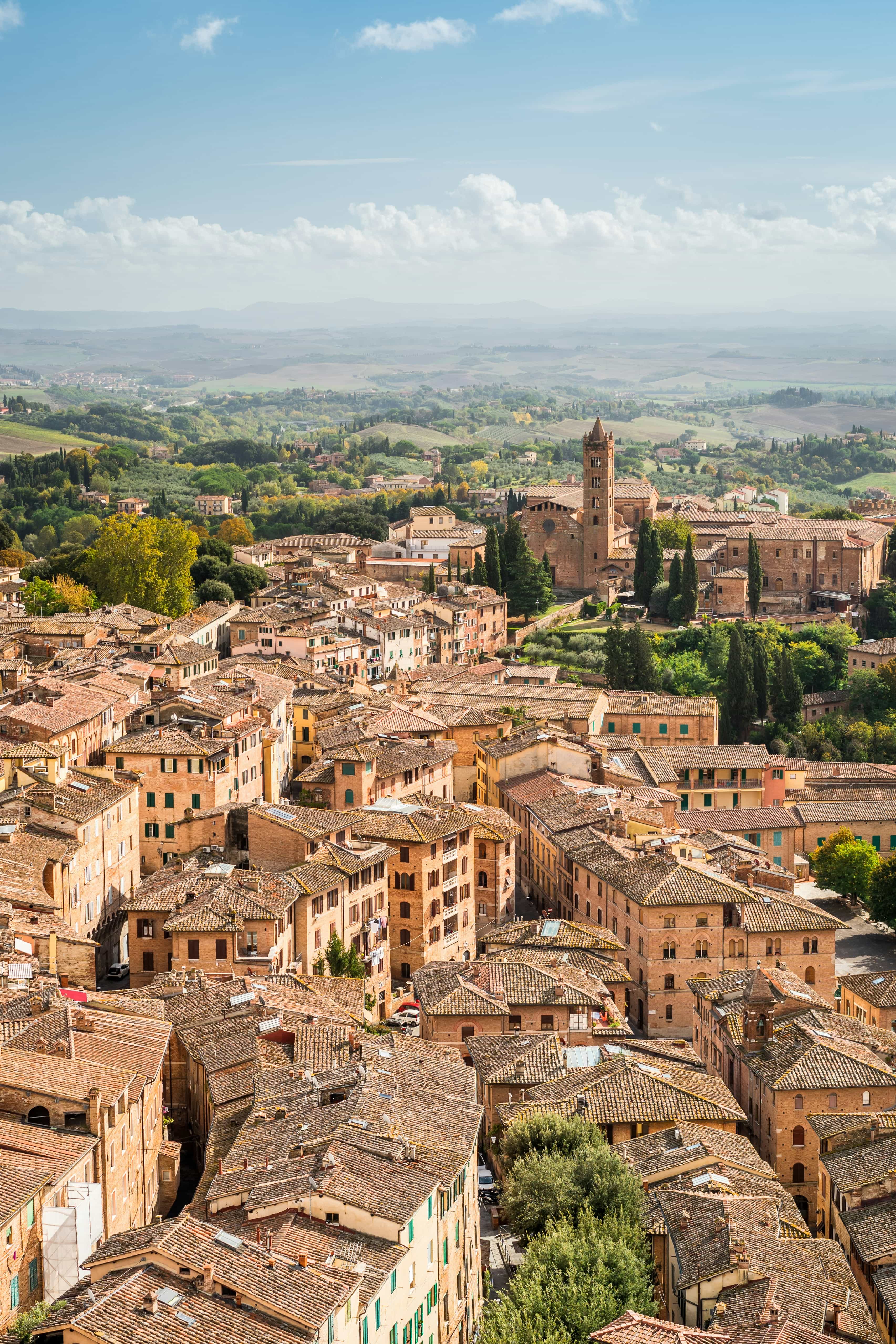 Medieval Tuscany & Wine Experience: Certaldo, San Gimignano & Volterra