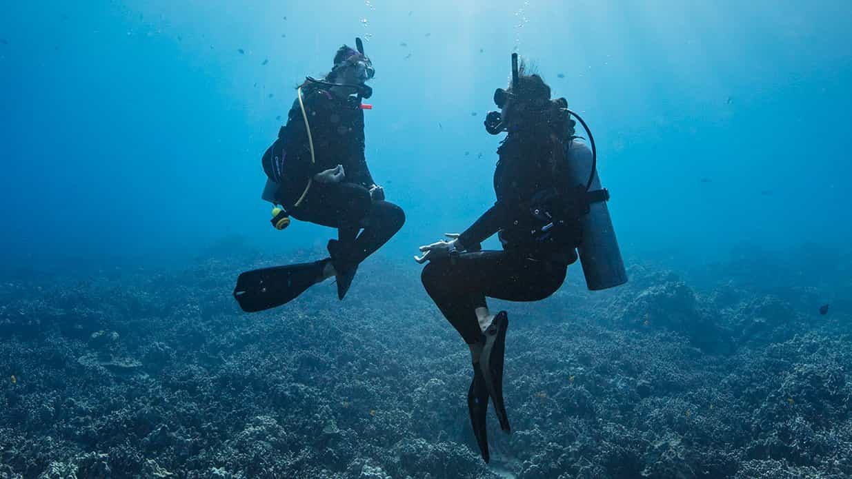 UPGRADE TO TRY DIVE