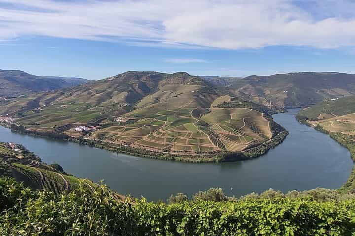 Wine Trip