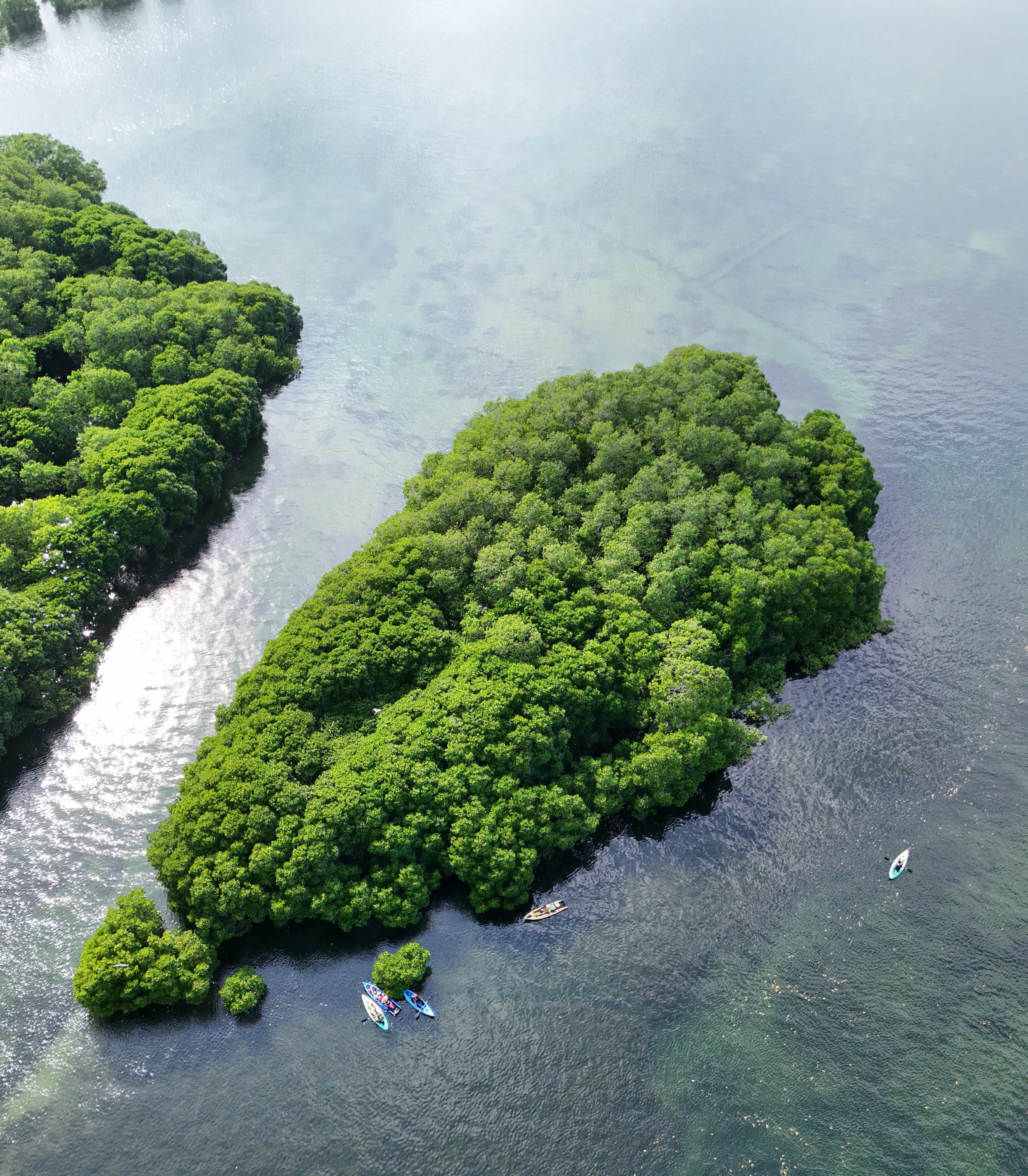 7 day island adventure and nature retreat