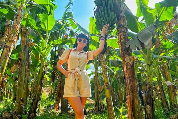 Private Felucca Trip to Banana Island & Private Transfer in Luxor