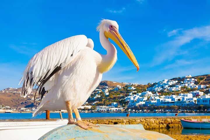 Private Full Day Trip to Mykonos from Athens