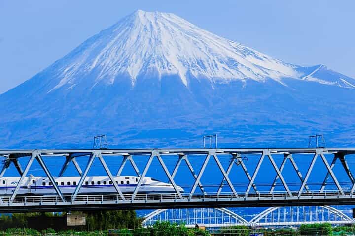 Mt. Fuji & Hakone Customizable Private Tour Bullet Train Return