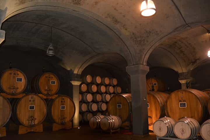 Exclusive Brunello di Montalcino tour from Florence