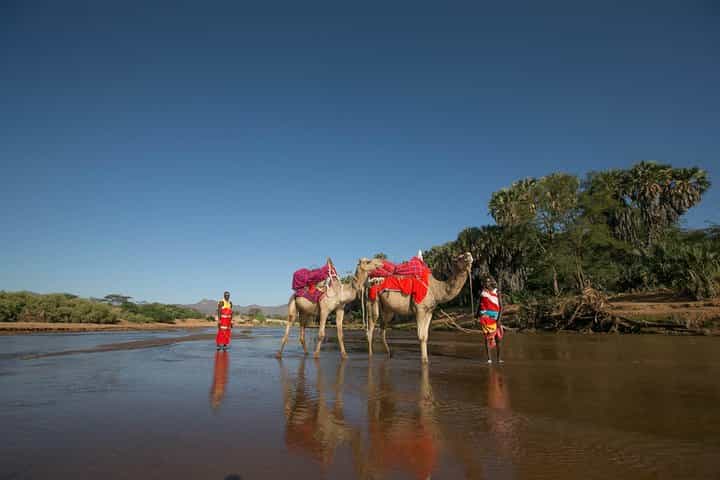4 Days - Samburu & Aberdares National Park Safari