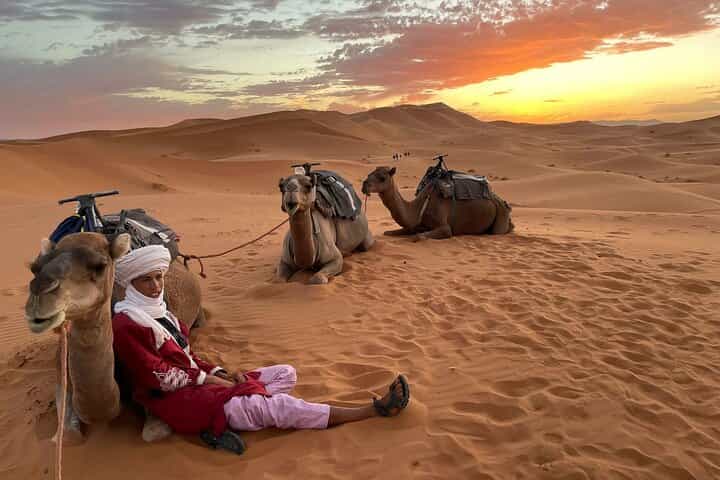 10 Day Morocco Highlights Tour from Casablanca with Sahara Desert