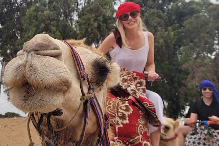 Agadir Camel Rides Local Market with Tea Drink & cakes
