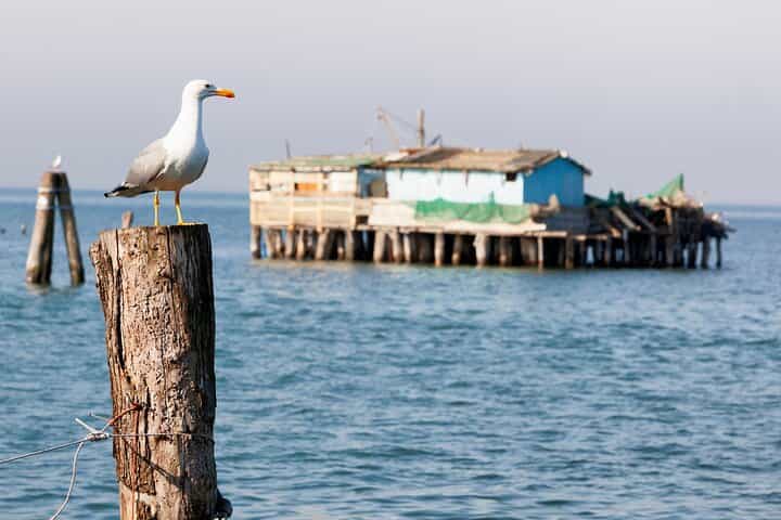 Venice Bike Hopping Tour: Lido & Pellestrina