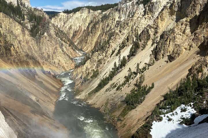 Full Day Private Wildlife/Geyser Tour from West Yellowstone