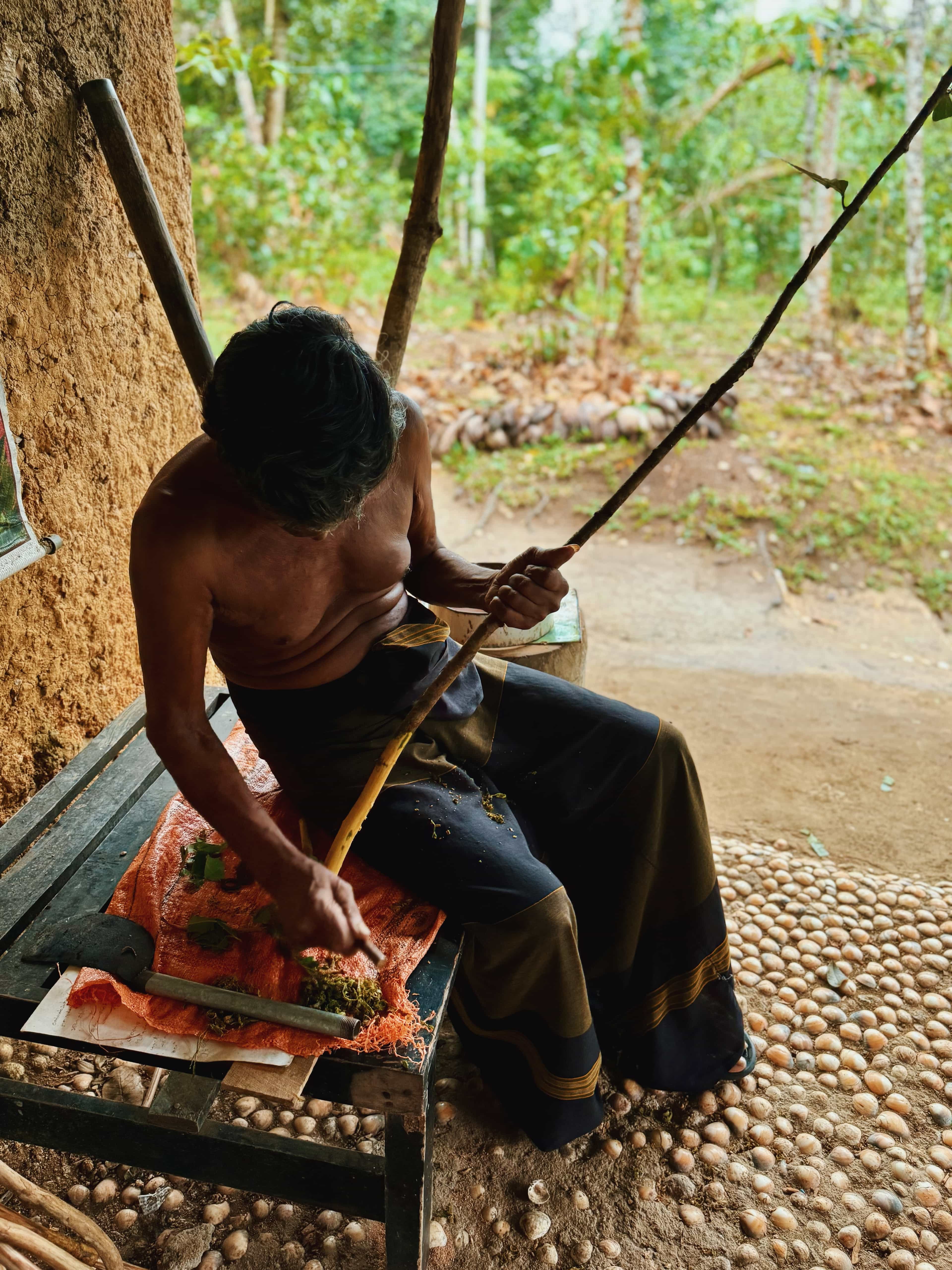 Bat Watching & Cinnamon experience -Koggala