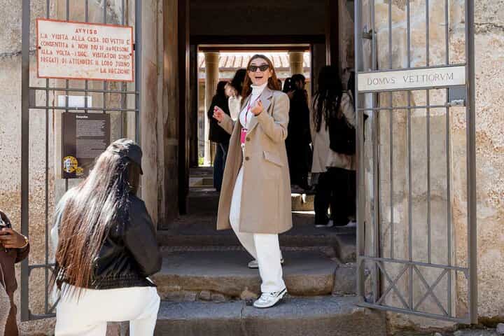 Pompeii Guided Experience - Tour Service Only 