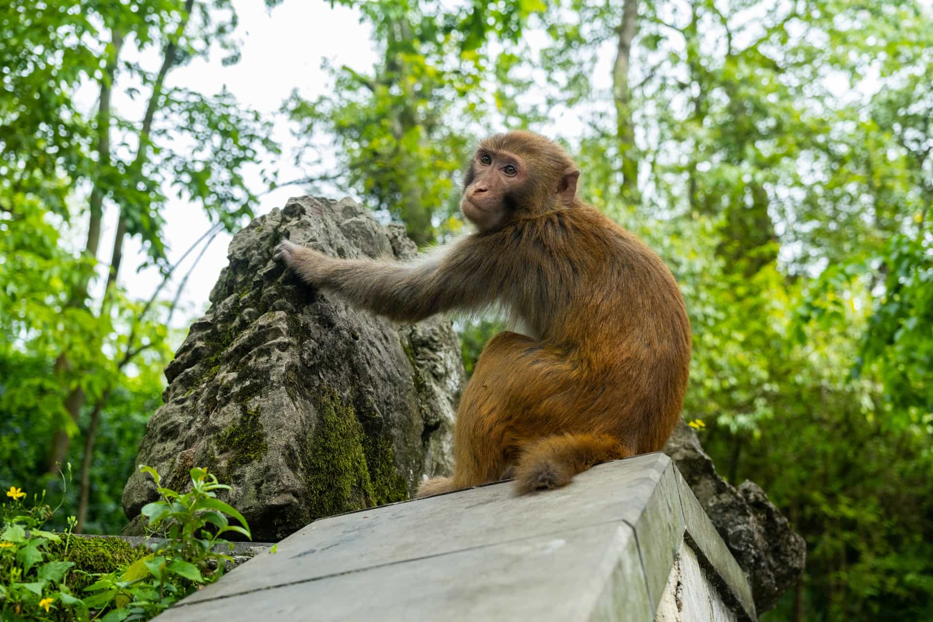 Customized One-Day Tour in Guiyang Urban Area