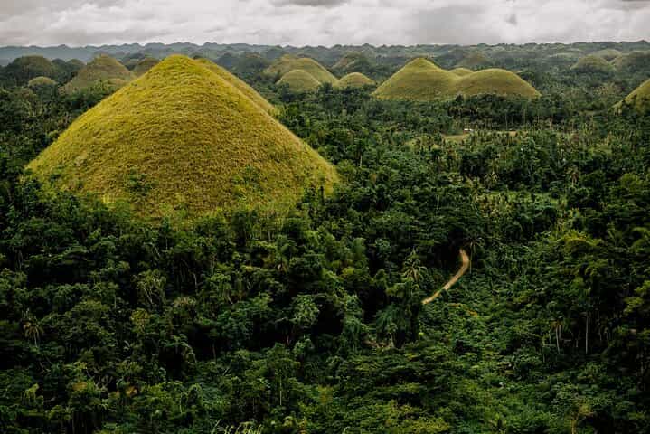 Bohol Chocolate Hills & Tarsier Tour with Lunch - Pick-up Tagbilaran or Panglao