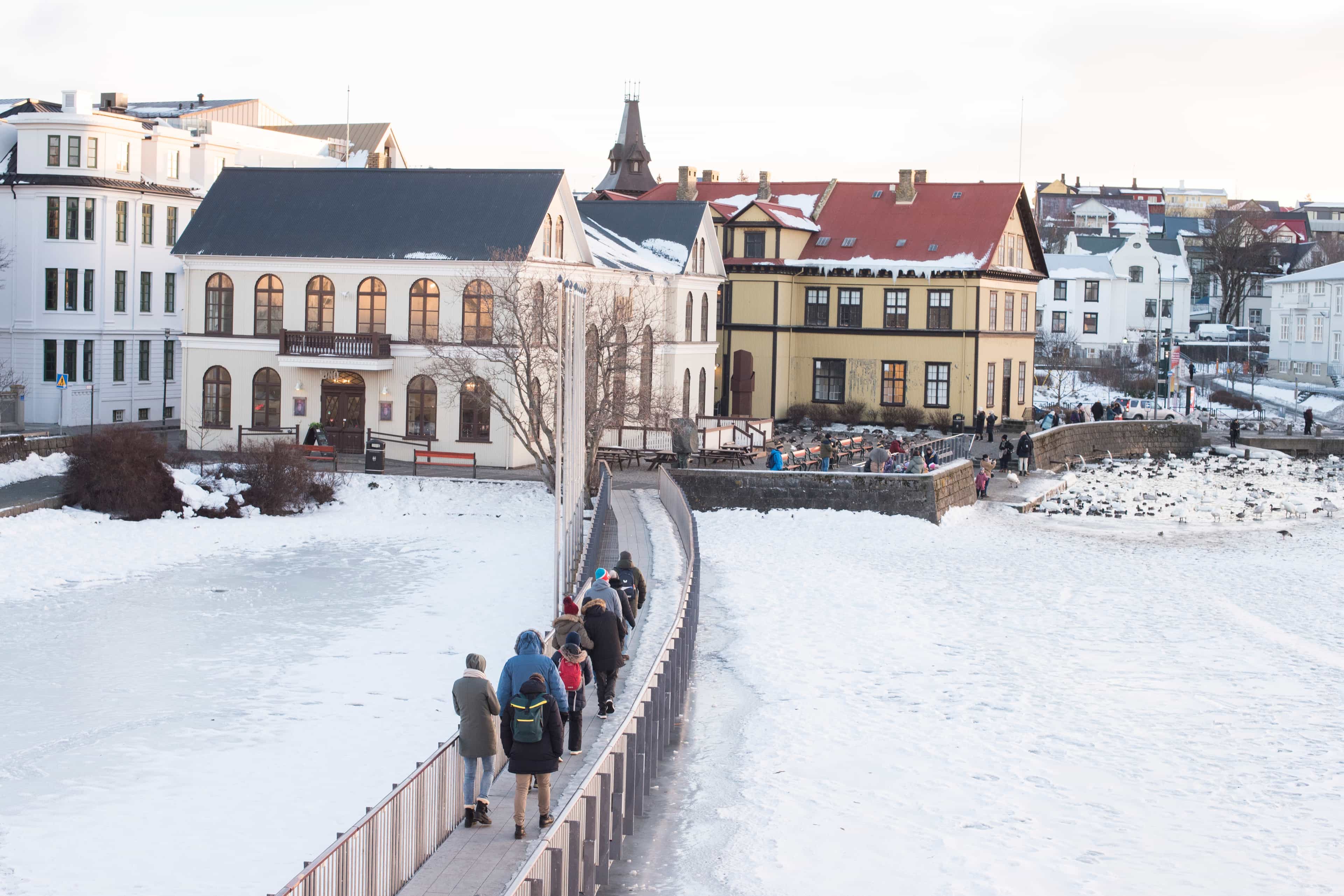 Reykjavik Walking Tour small group - CityWalk