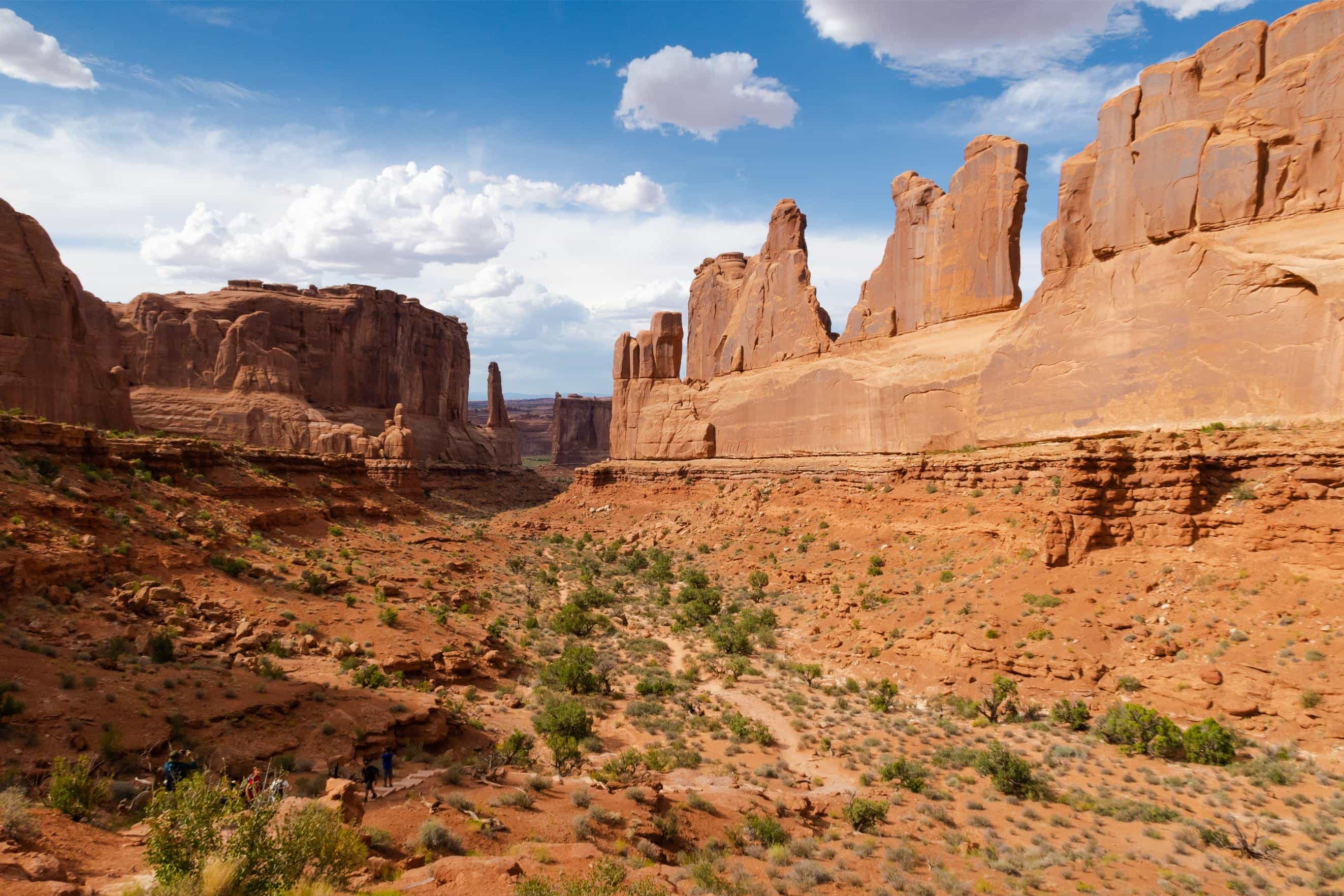 Private 3 Day National Park Aerial Adventure Safari