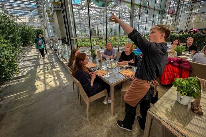Golden Circle and Lunch at Fridheimar Tomato Farm - with photos