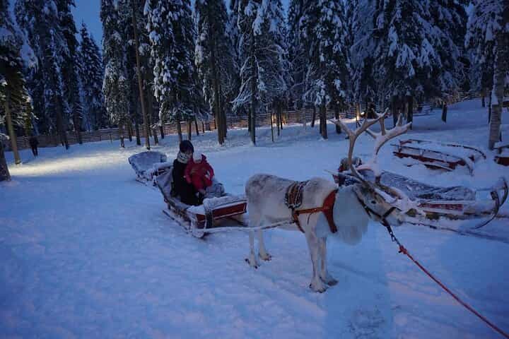 Rovaniemi Reindeer Safari & Ice Fishing Experience