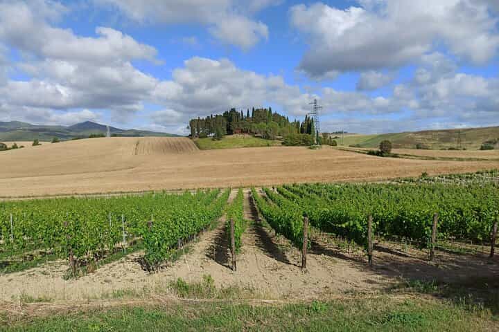 Florence–Siena Luxury Transfer via Chianti Wine Country