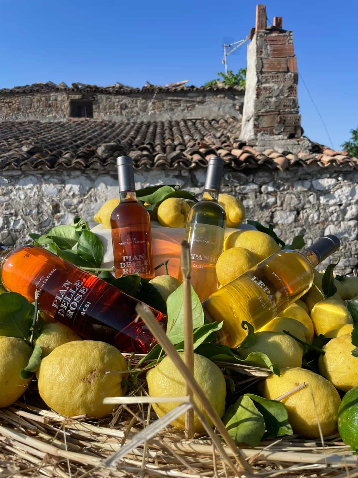 Rocca Imperiale: tour nel borgo dei limoni con degustazione