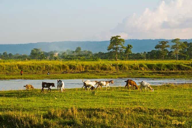 6-Day Chepang Village Homestay Hike – A Journey into Nepal’s Indigenous Heartland