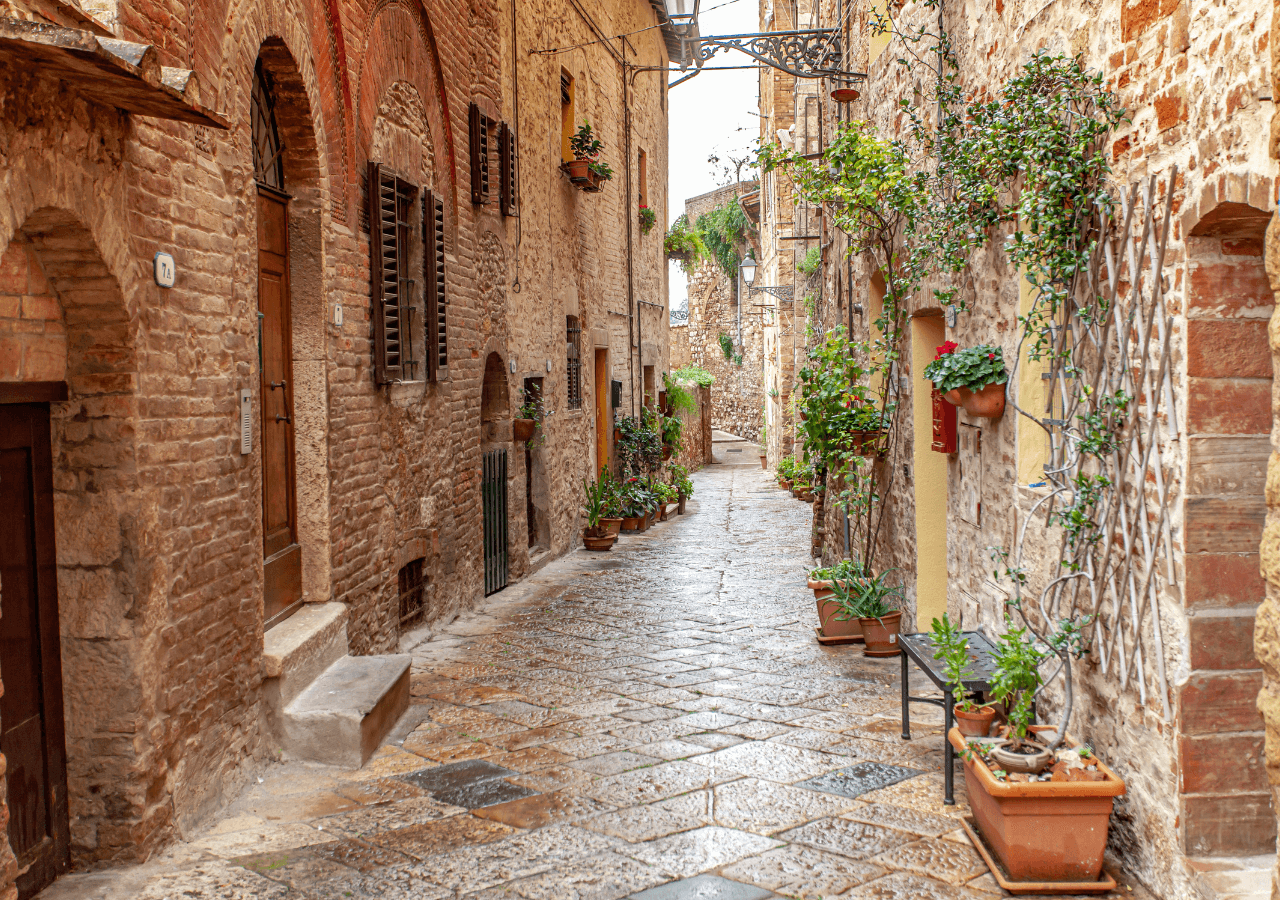 Private Minivan Tour from Florence to Bolgheri