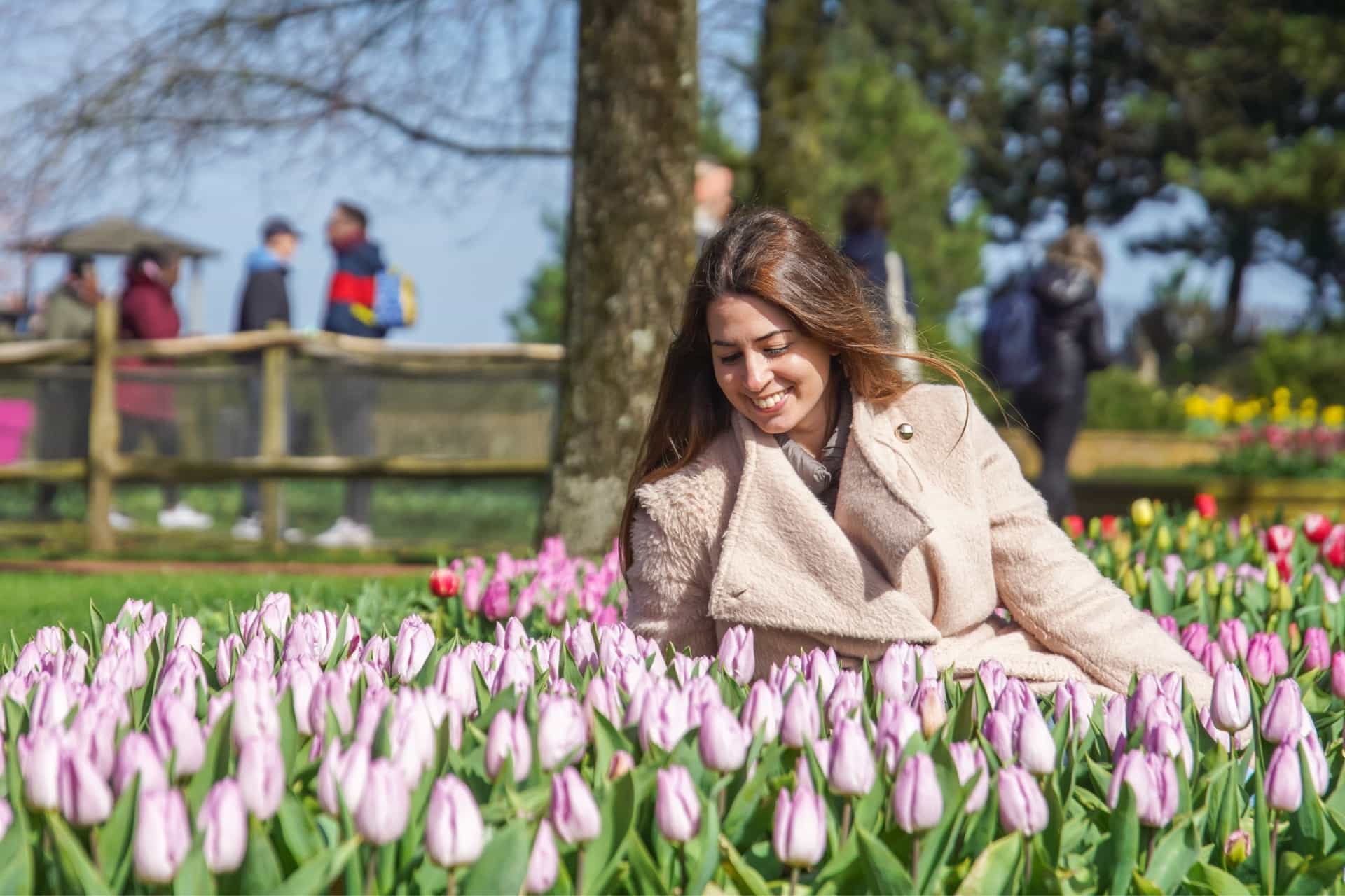 Amsterdam: Keukenhof and Giethoorn Tour