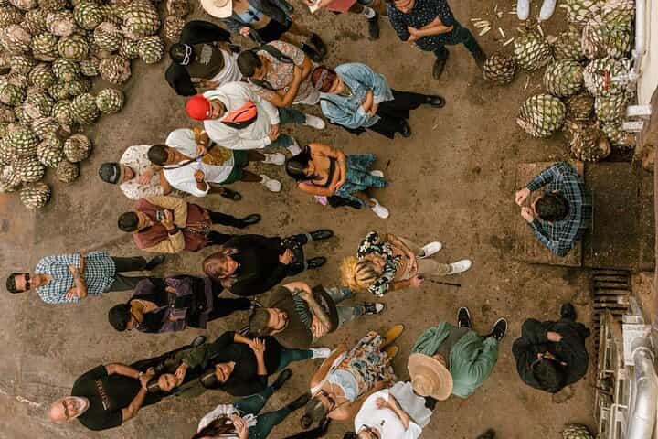 Private Tour one day of Adventure in Tequila and Tequilera Cascahuin