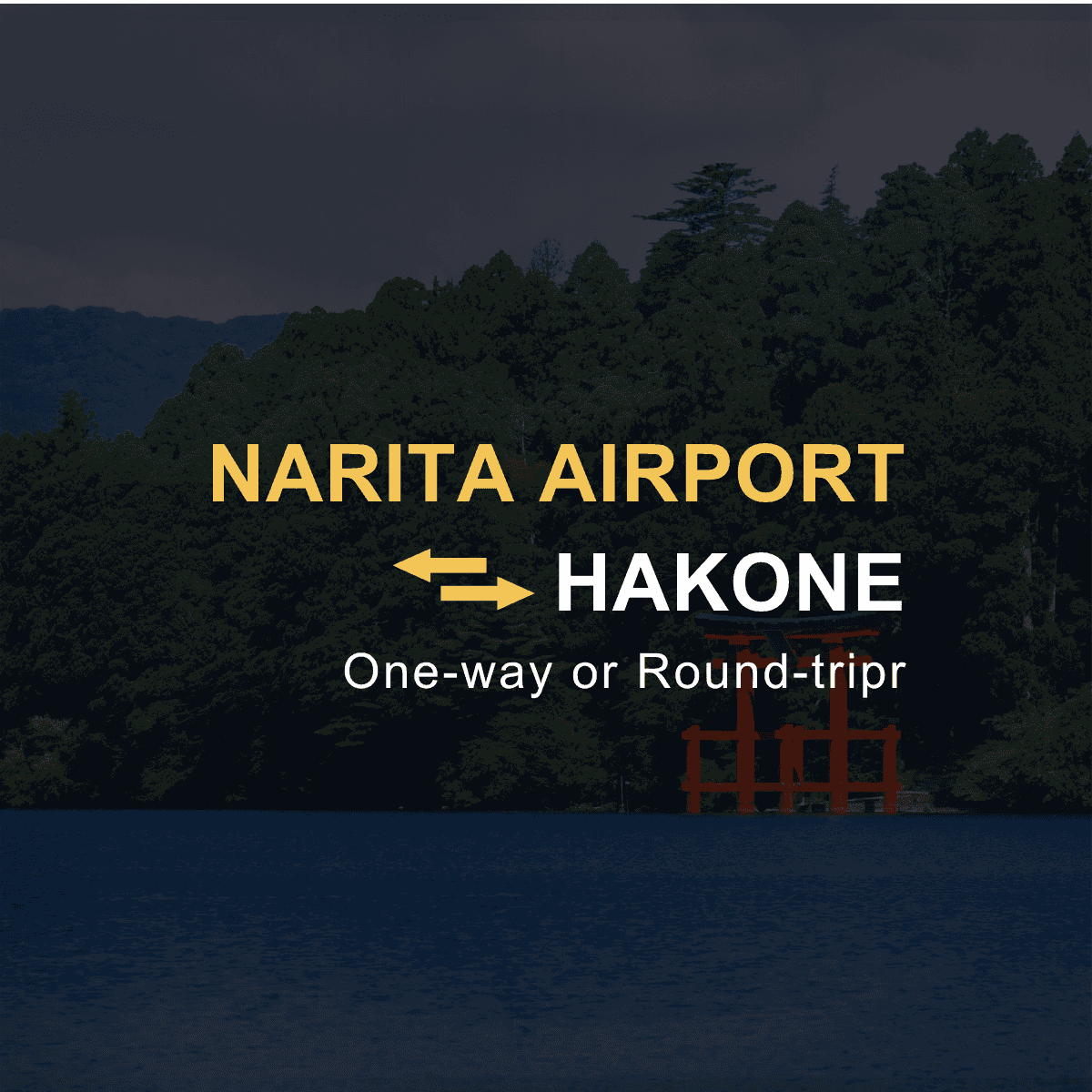 Narita Airport (NRT) ⇄ Hakone Private Transfer