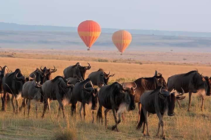 3 days 2 nights budget safari to Maasai Mara National Reserve