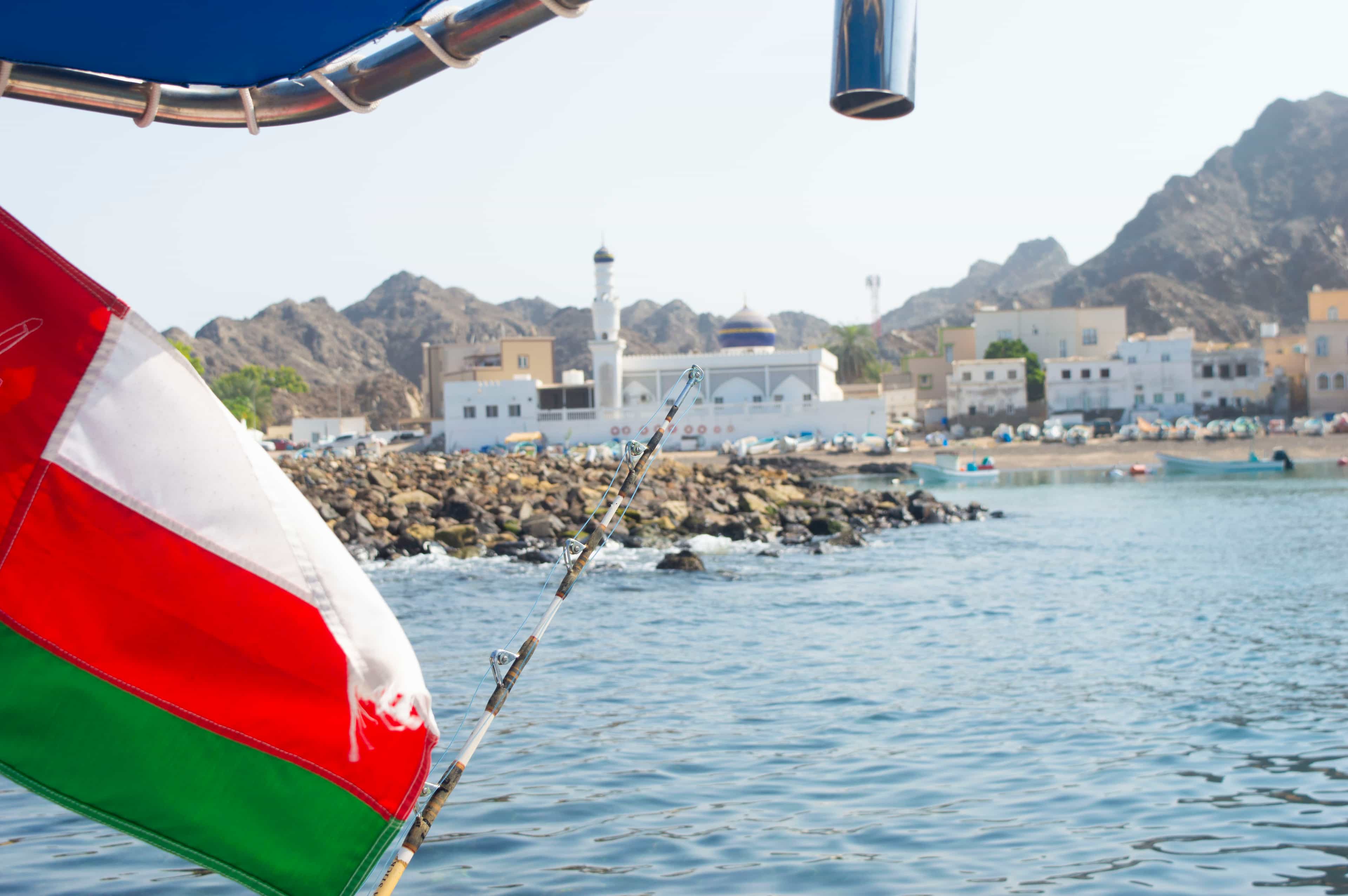 Exclusive boating experience (Dolphin watching, fishing and snorkeling enhancement)