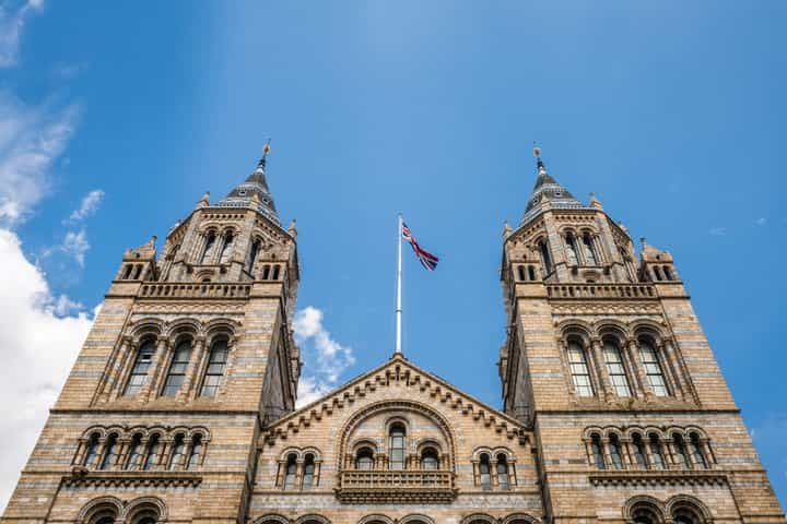 London: Natural History Museum Guided Tour with Tickets